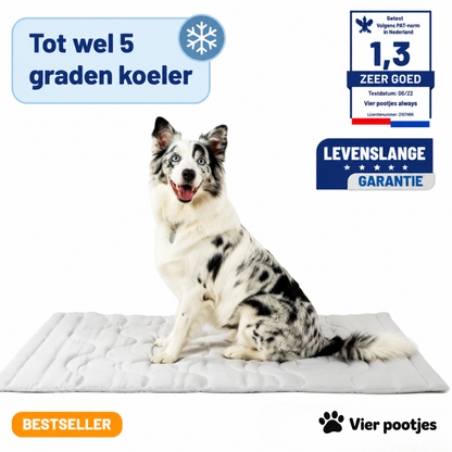 PootKoel™ - de innovatieve koelmat voor honden