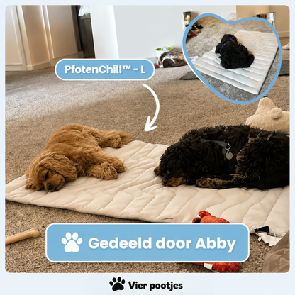 PootKoel™ - de innovatieve koelmat voor honden