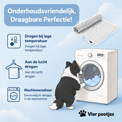 PootKoel™ - de innovatieve koelmat voor honden