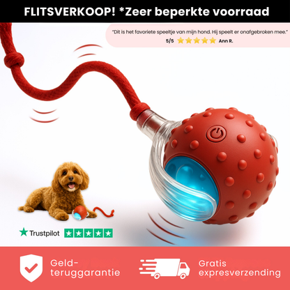 Vier Pootjes™ – Eindeloos speelplezier voor een blijere en rustigere hond