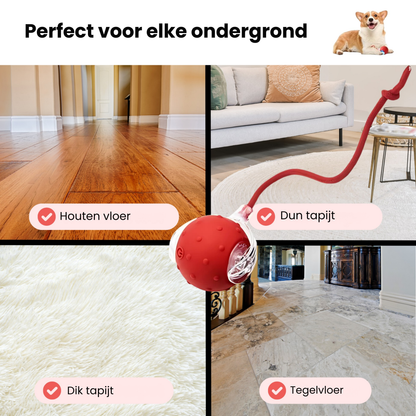 Vier Pootjes™ – Eindeloos speelplezier voor een blijere en rustigere hond