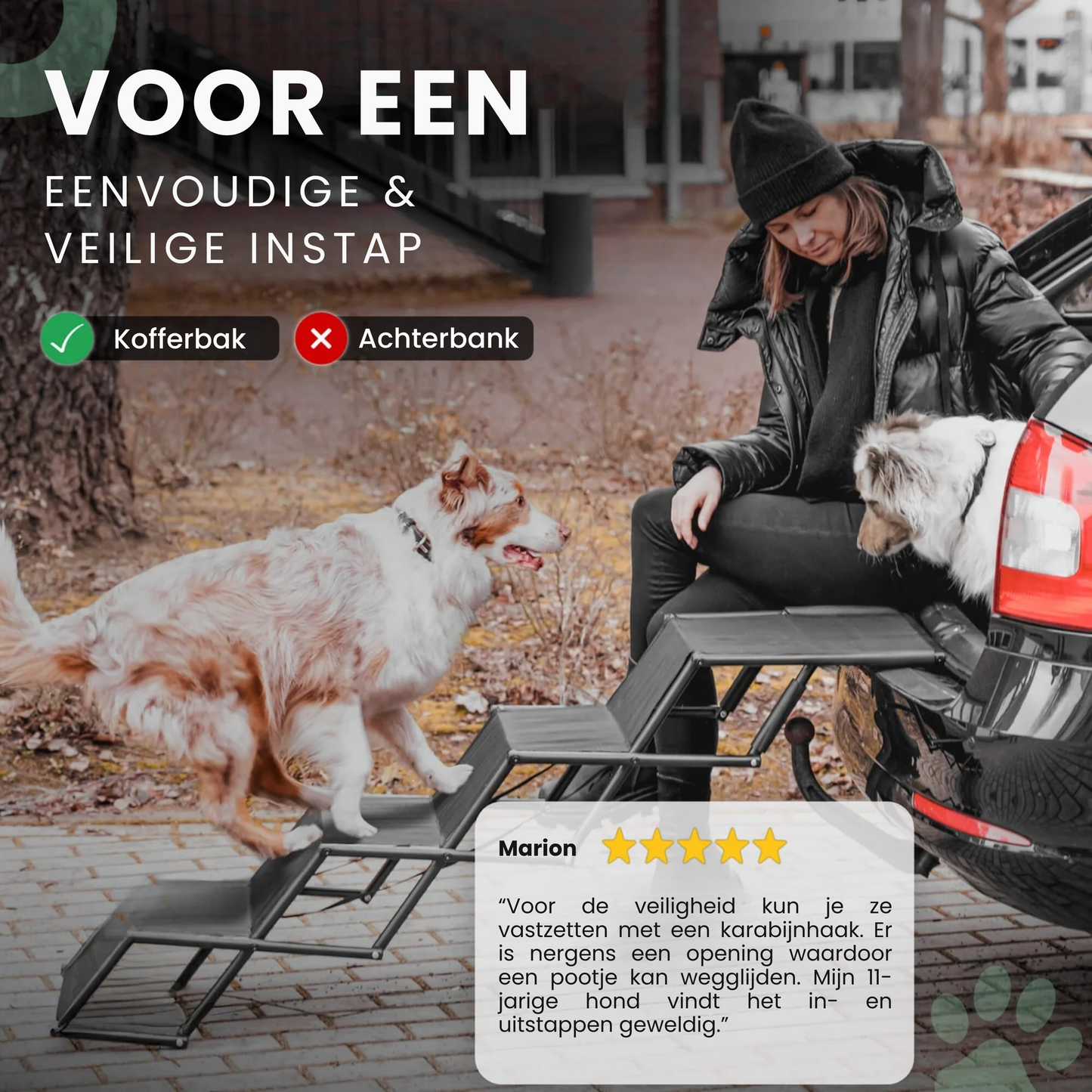 Honden trap voor de kofferbak