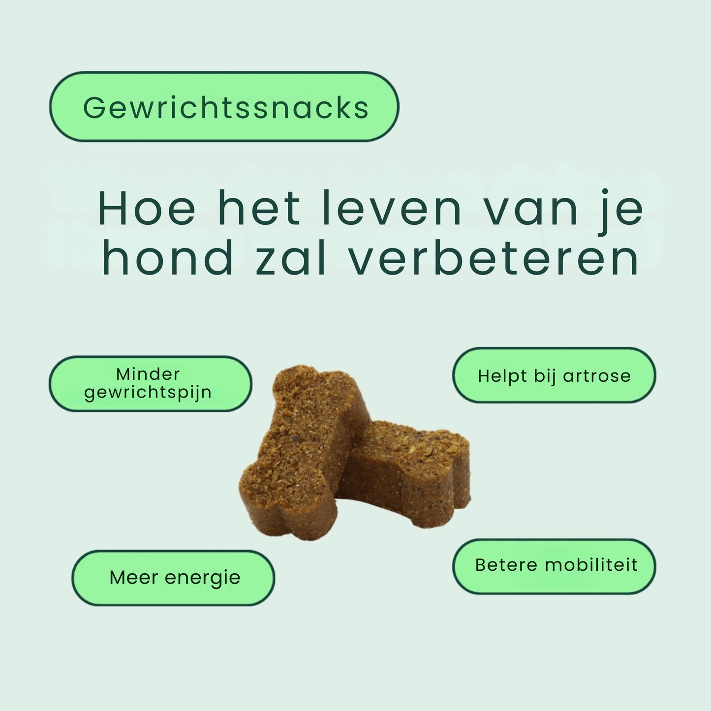 Gewrichtssnacks voor honden