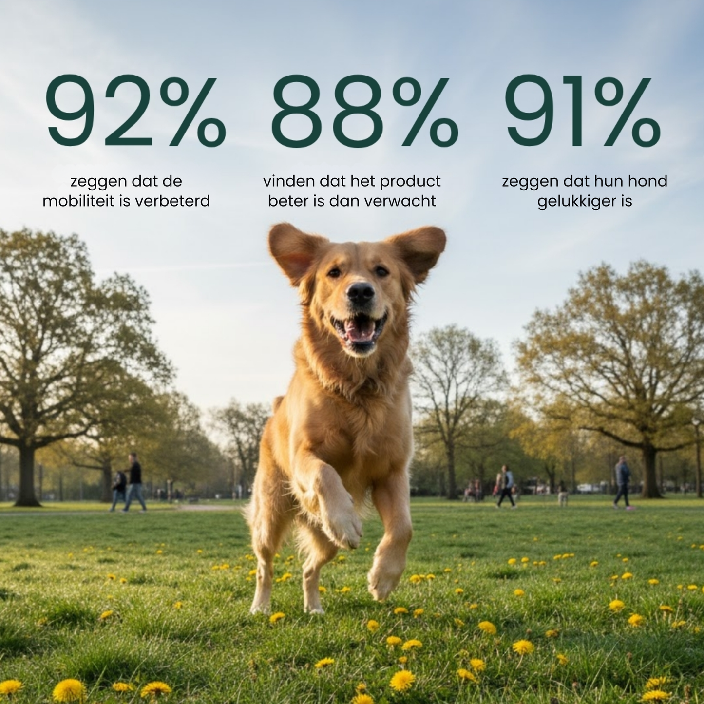 Gewrichtssnacks voor honden