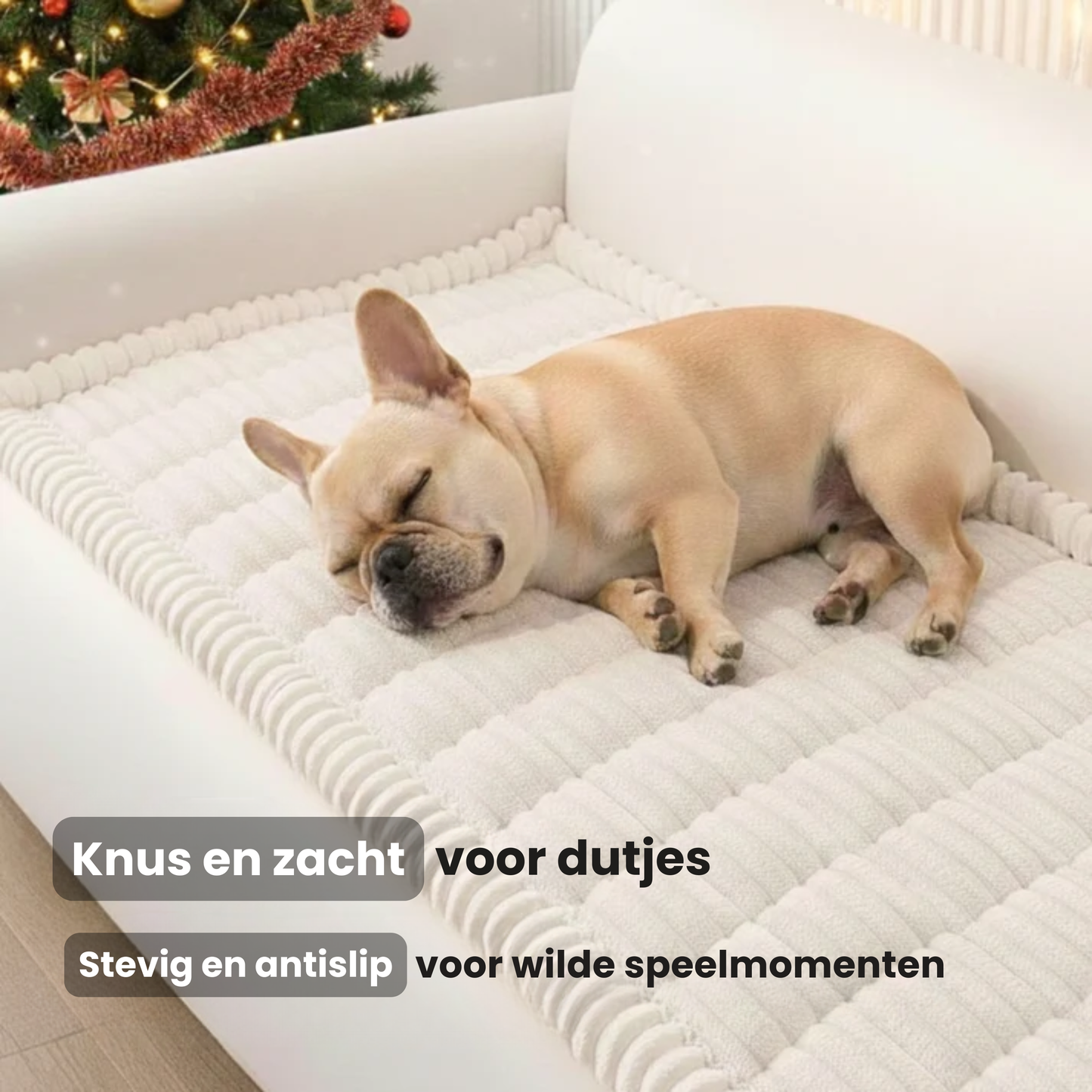 Knusse, pluche bankhoes voor huisdieren
