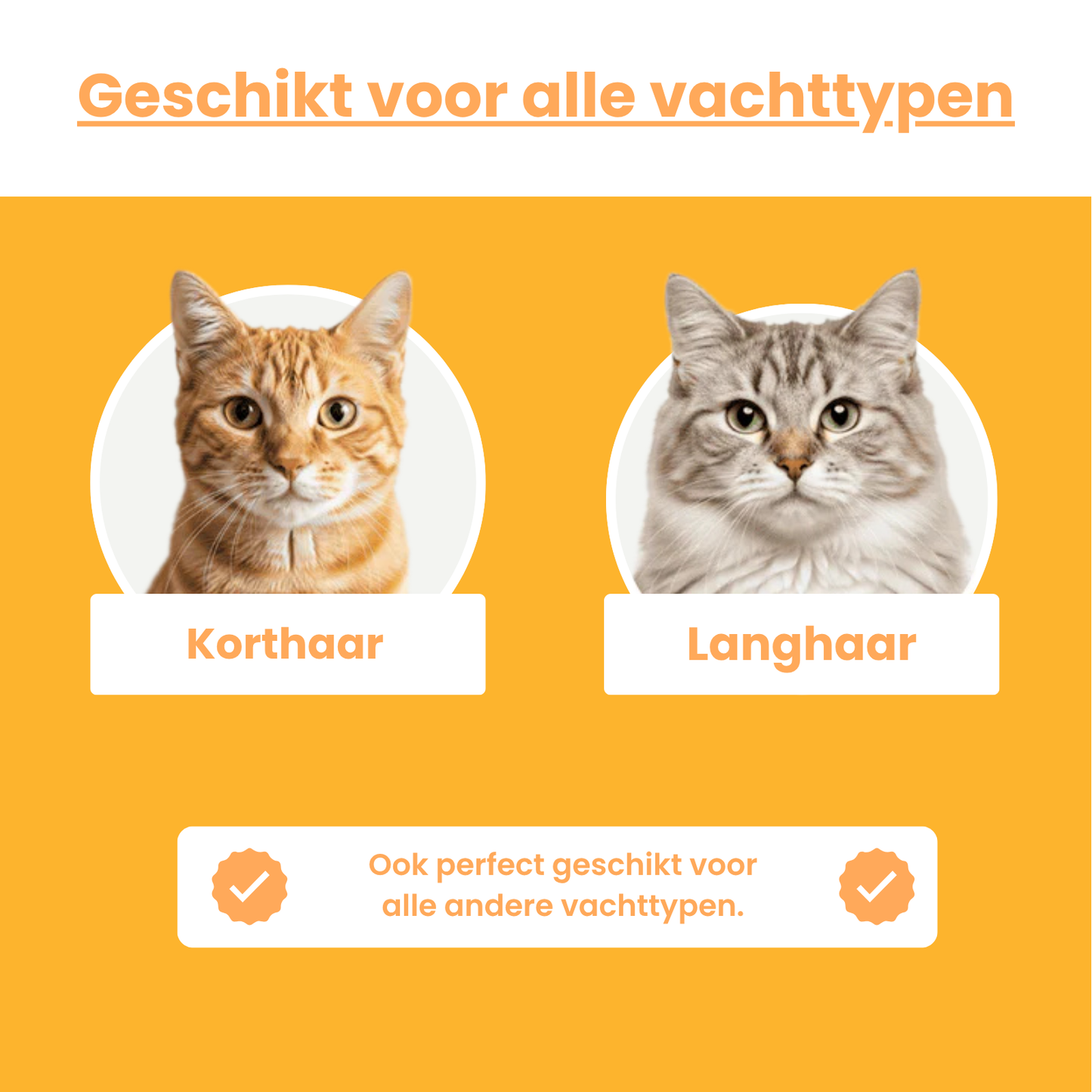 Vier Pootjes | Kammetje