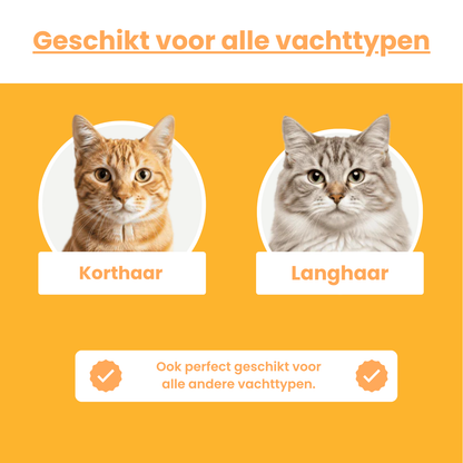 Vier Pootjes | Kammetje