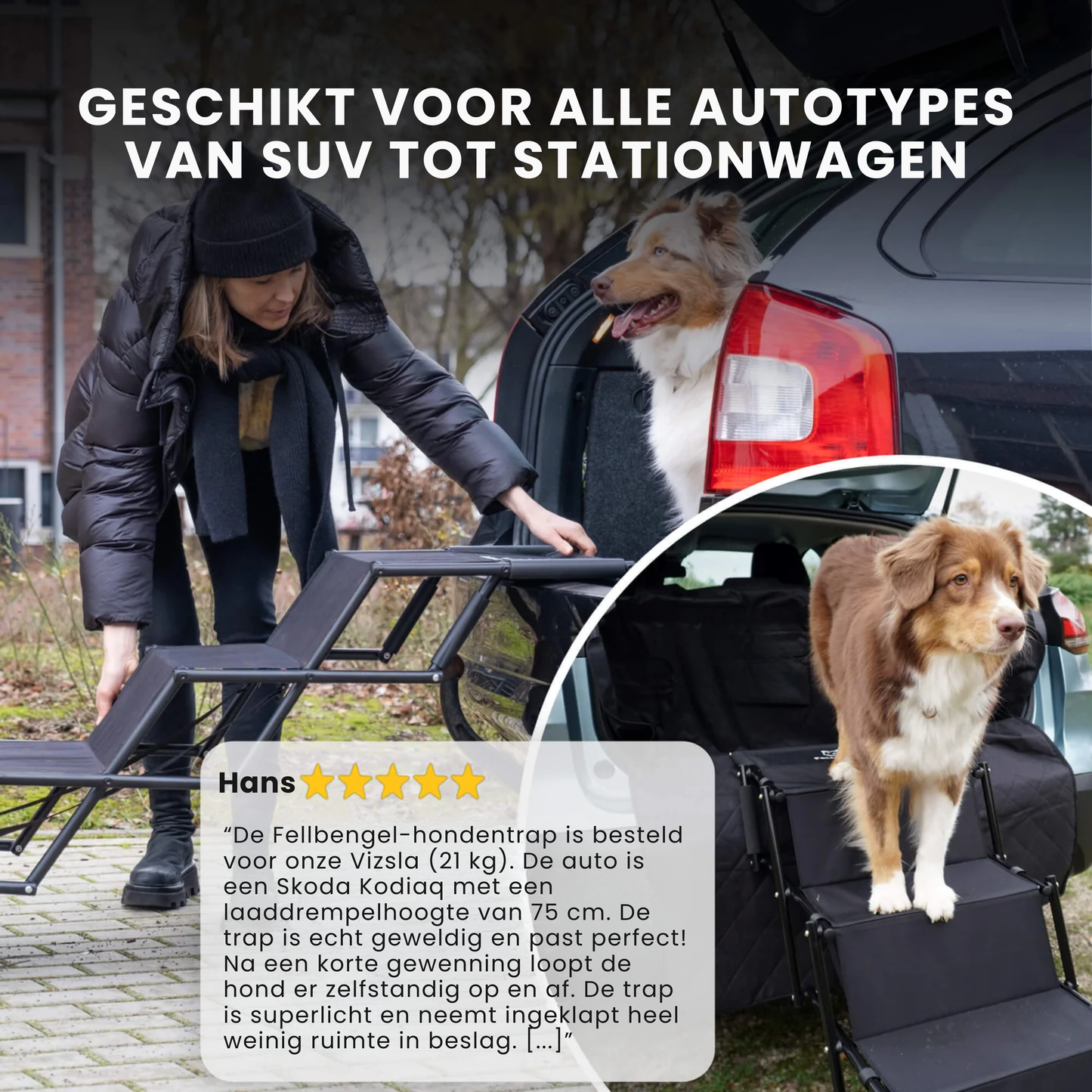 Honden trap voor de kofferbak