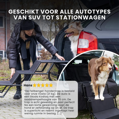 Honden trap voor de kofferbak
