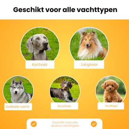 Vier Pootjes Borstel – De Bestseller