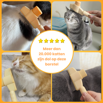 Vier Pootjes | Kammetje