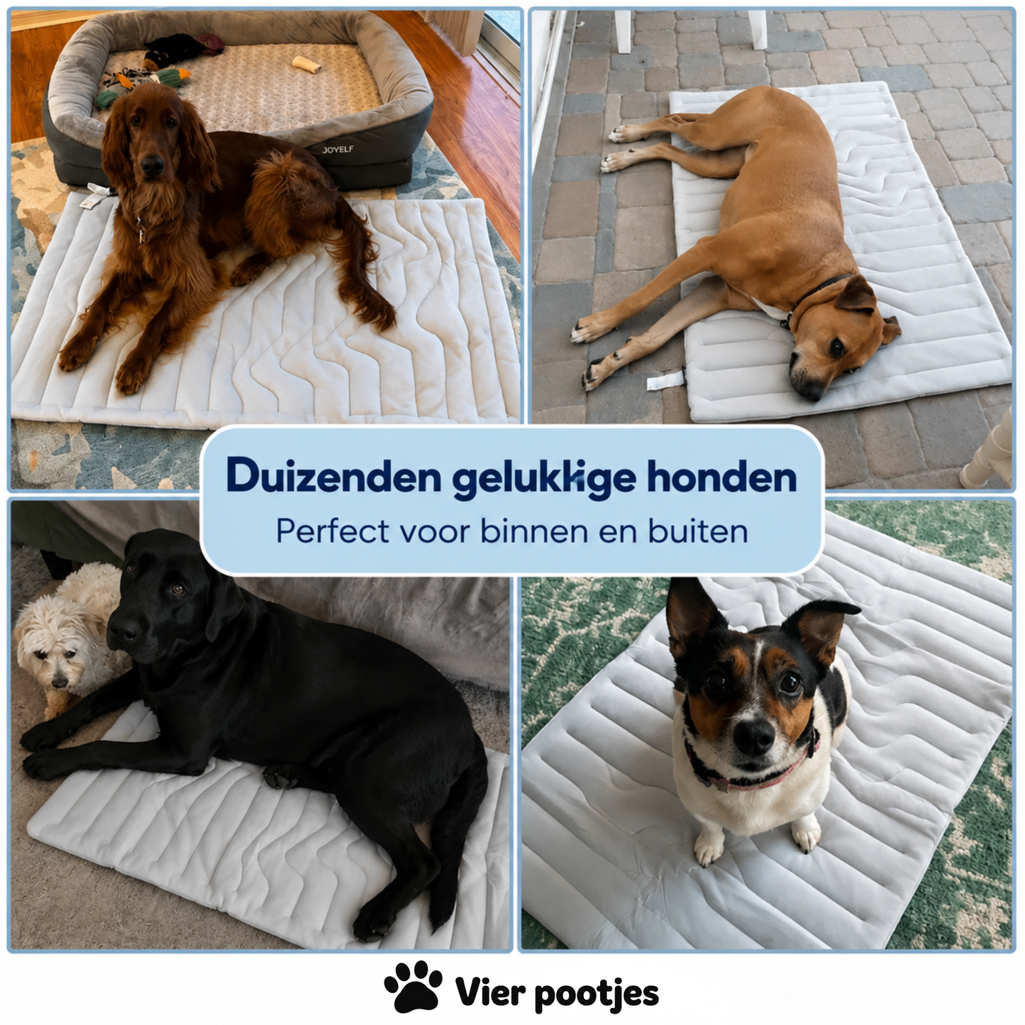 PootKoel™ - de innovatieve koelmat voor honden