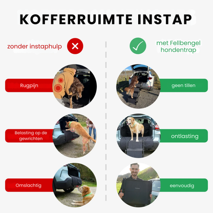 Honden trap voor de kofferbak