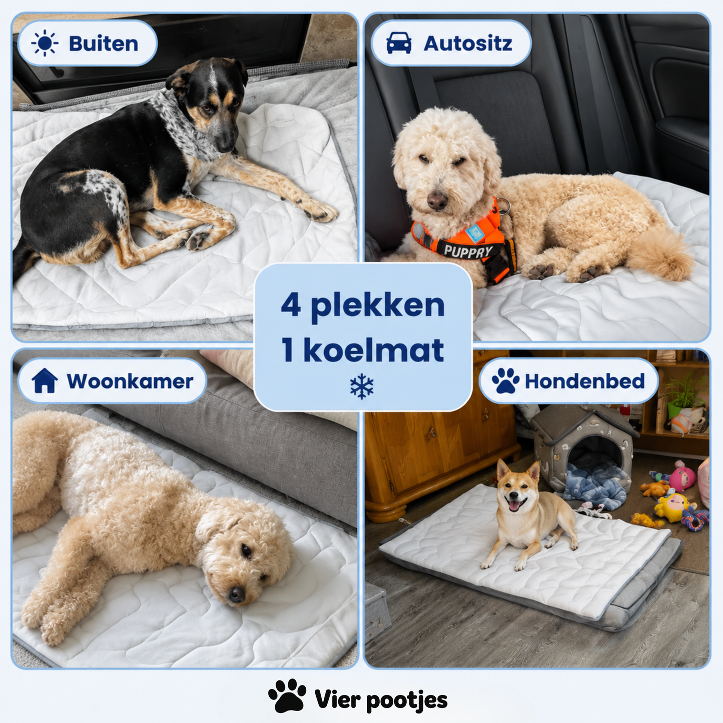 PootKoel™ - de innovatieve koelmat voor honden