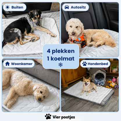 PootKoel™ - de innovatieve koelmat voor honden
