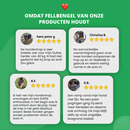 Honden trap voor de kofferbak