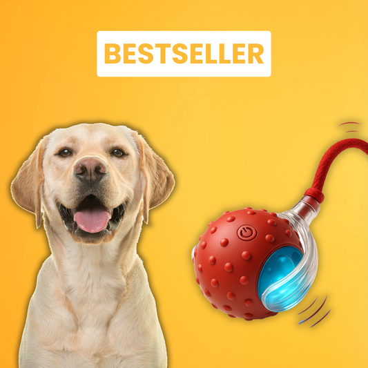 Vier Pootjes™ – Eindeloos speelplezier voor een blijere en rustigere hond