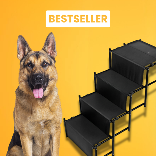 Honden trap voor de kofferbak