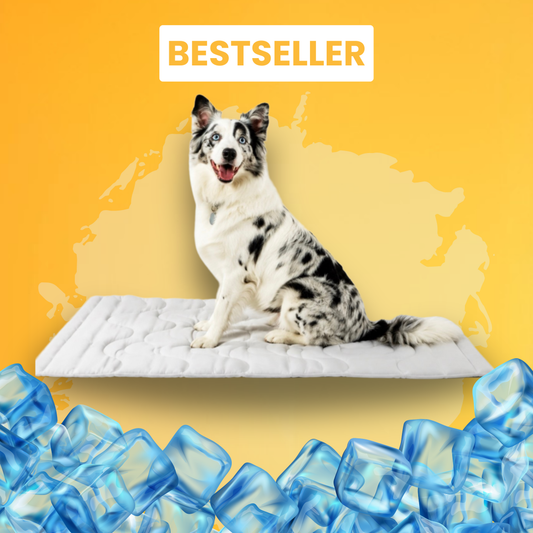 PootKoel™ | Koelmat voor honden